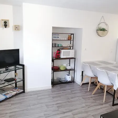 Apartment Dans Le Centre Historique - *