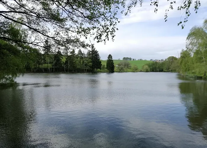 Dans Le Centre Historique - *